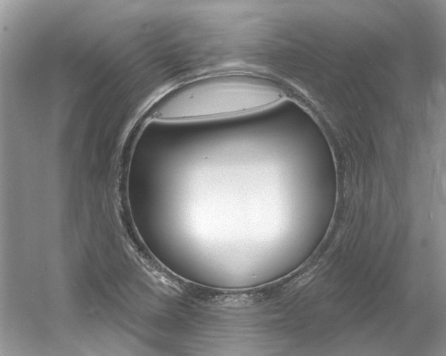 X0000061101410200511180856