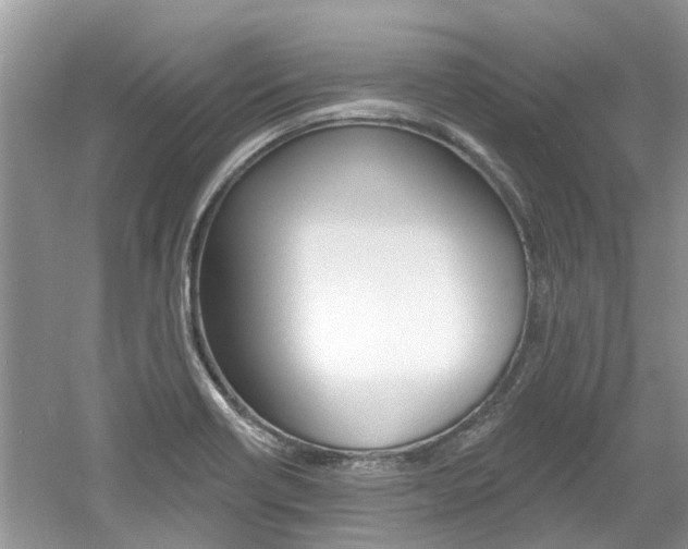 X0000061101418200511180856
