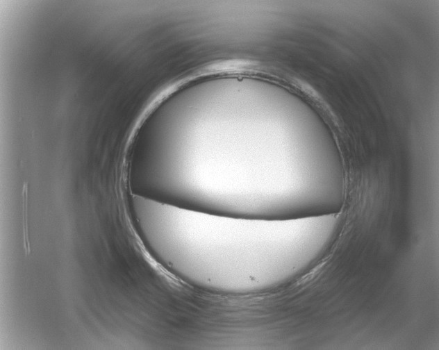 X0000061101421200511180856
