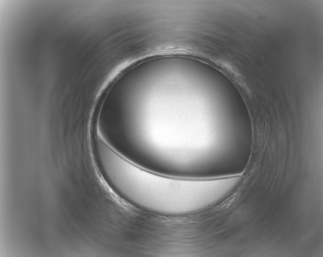 X0000061101422200511180856