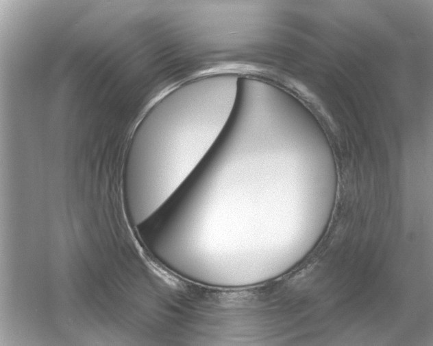 X0000061101425200511180856