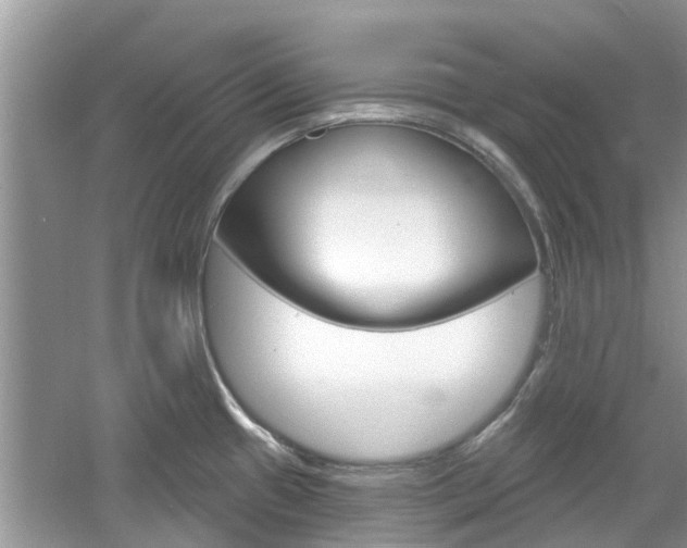 X0000061101433200511180856