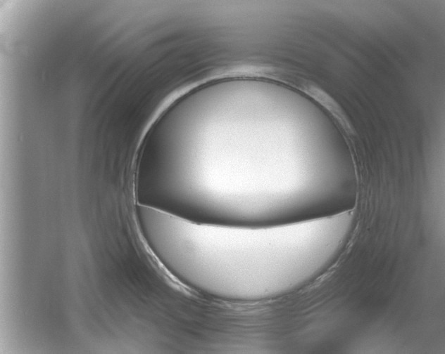 X0000061101436200511180856