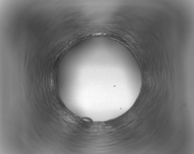 X0000061101442200511180855