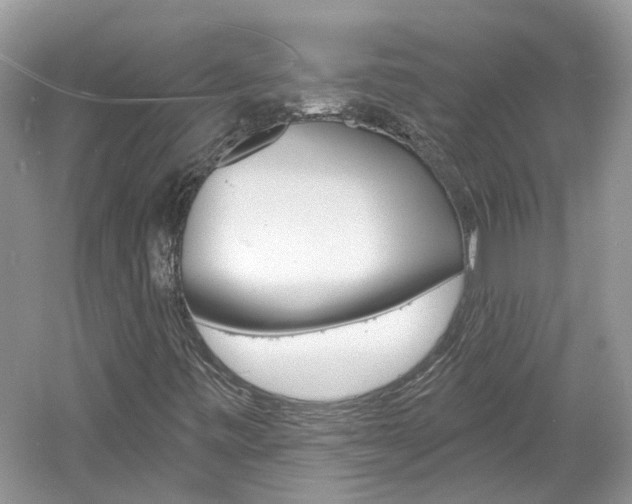 X0000061101443200511180855