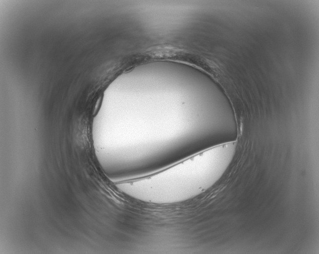 X0000061101444200511180855