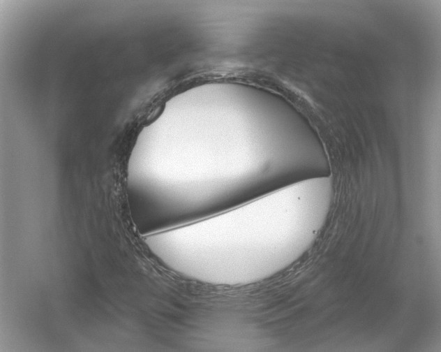 X0000061101447200511180855