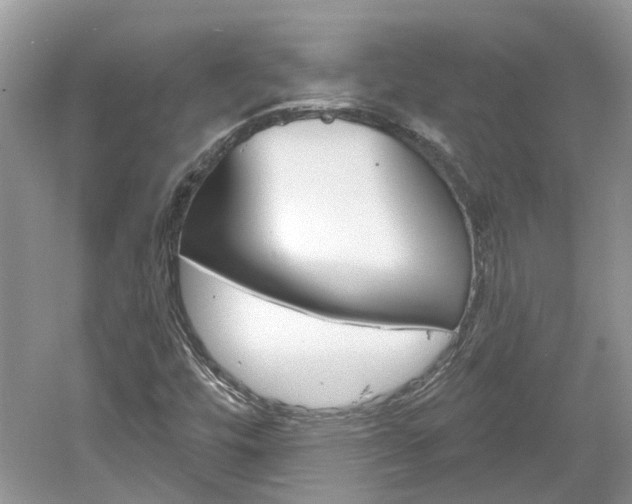 X0000061101448200511180855