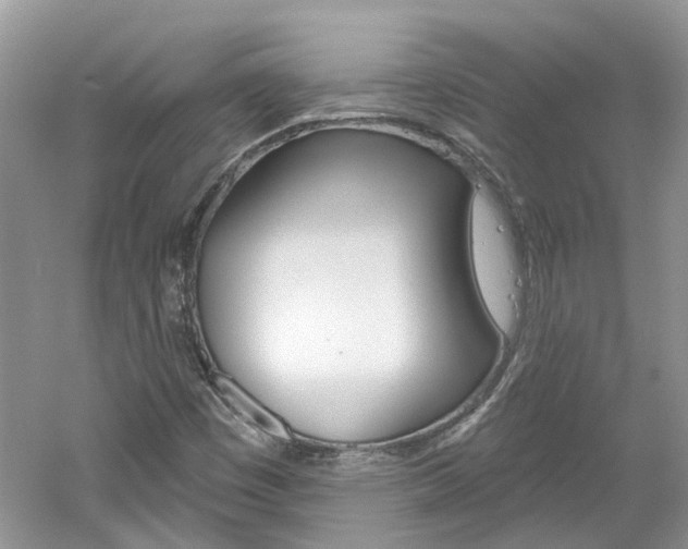 X0000061101449200511180855