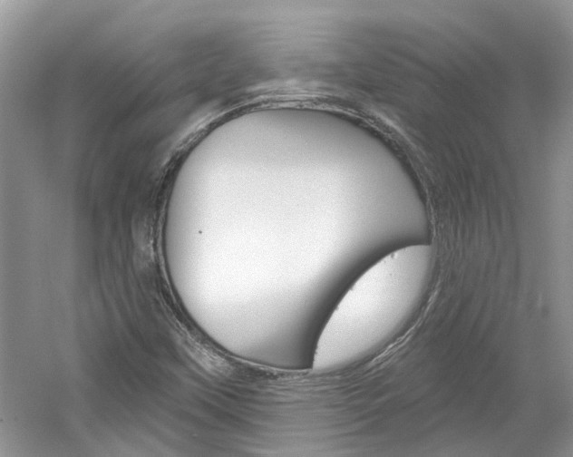 X0000061101451200511180855