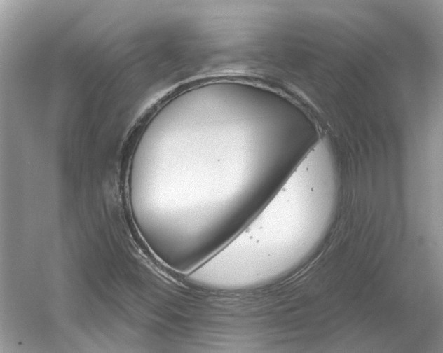 X0000061101452200511180855