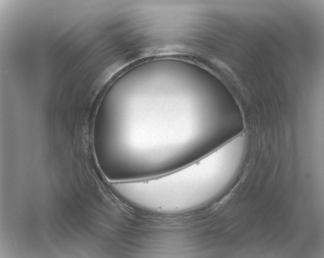 X0000061101457200511180855