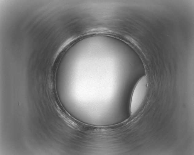 X0000061101458200511180855