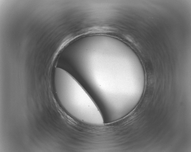 X0000061101459200511180855