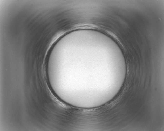 X0000061101466200511180855