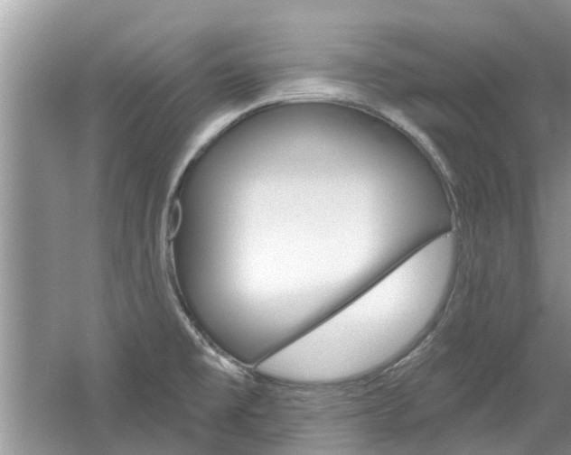 X0000061101477200511180855