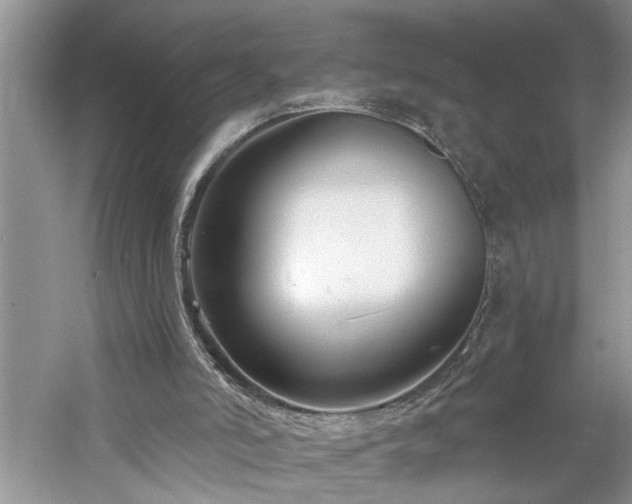 X0000061100006200511181115