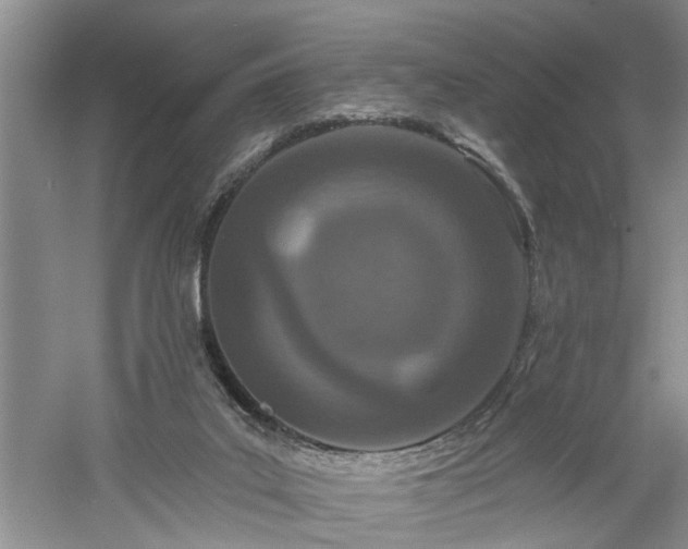 X0000061100019200511181115