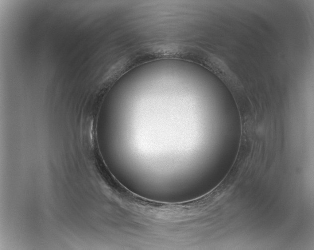 X0000061100024200511181115