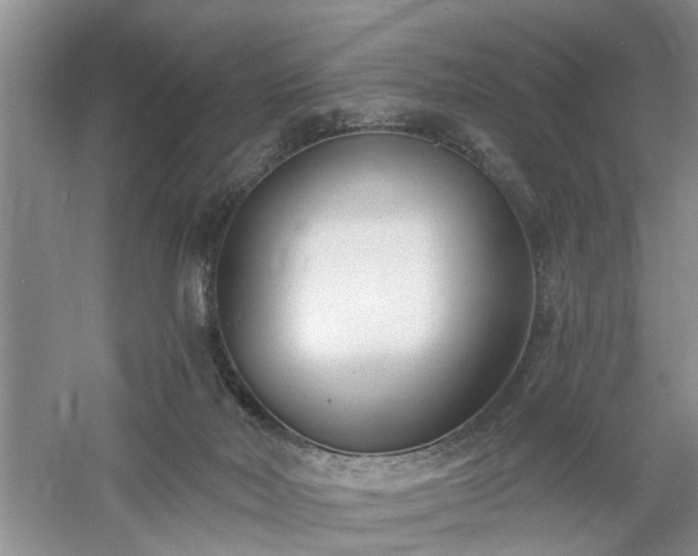 X0000061100026200511181115