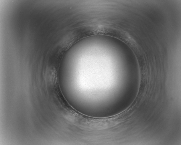 X0000061100029200511181115