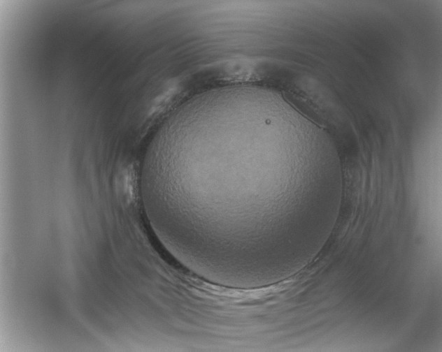 X0000061100035200511181115