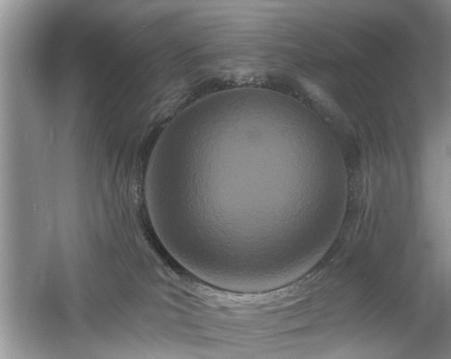 X0000061100039200511181115