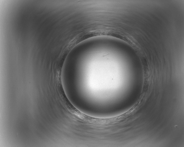 X0000061100045200511181115