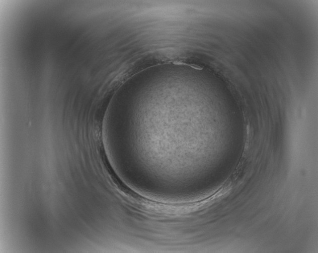 X0000061100048200511181115