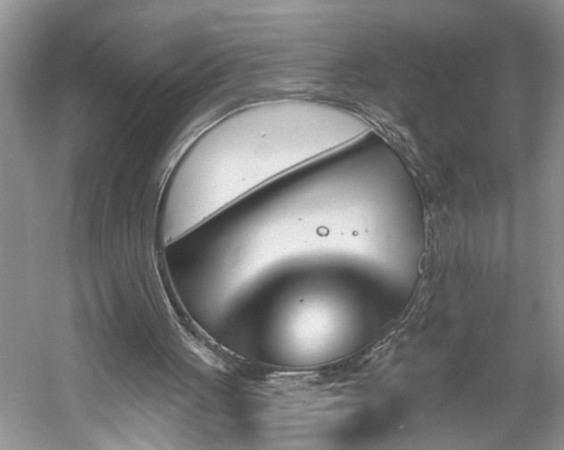 X0000061100051200511181114