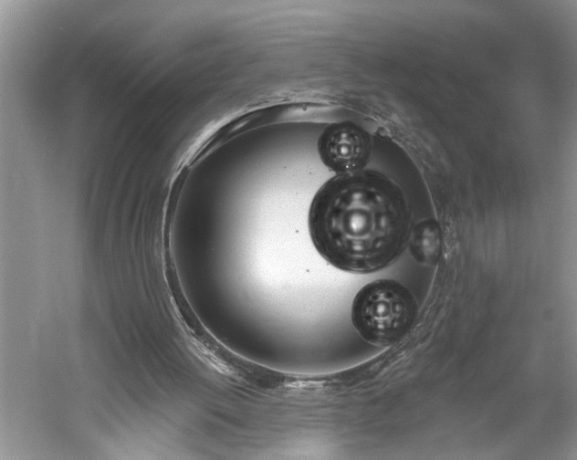X0000061100052200511181114