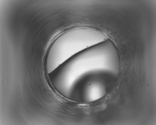 X0000061100053200511181114