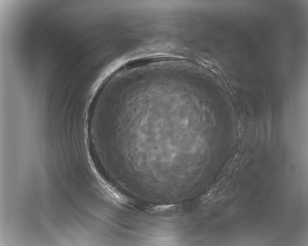 X0000061100054200511181114