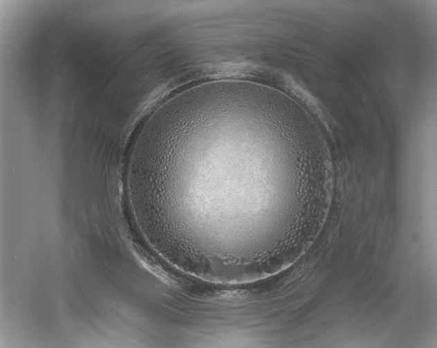 X0000061100059200511181114