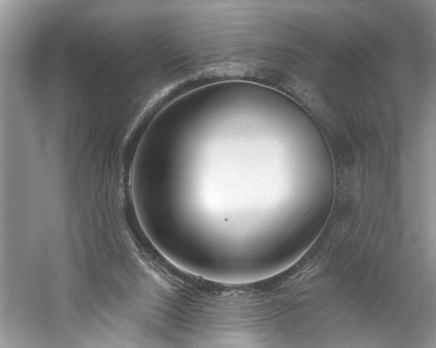 X0000061100064200511181114