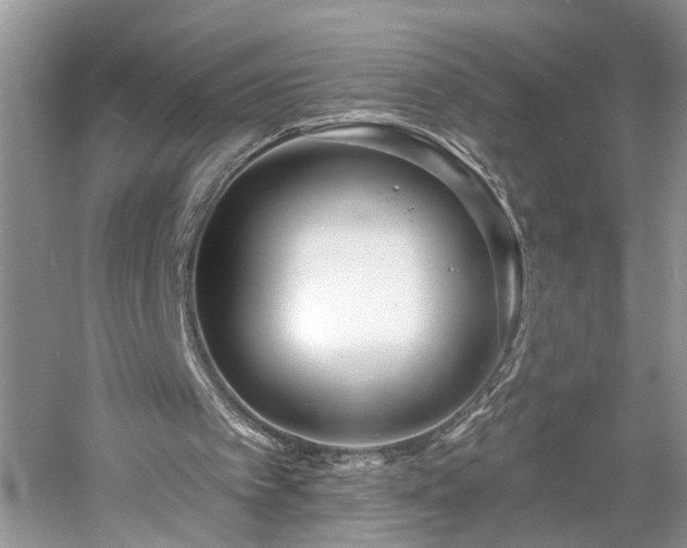 X0000061100097200511181114