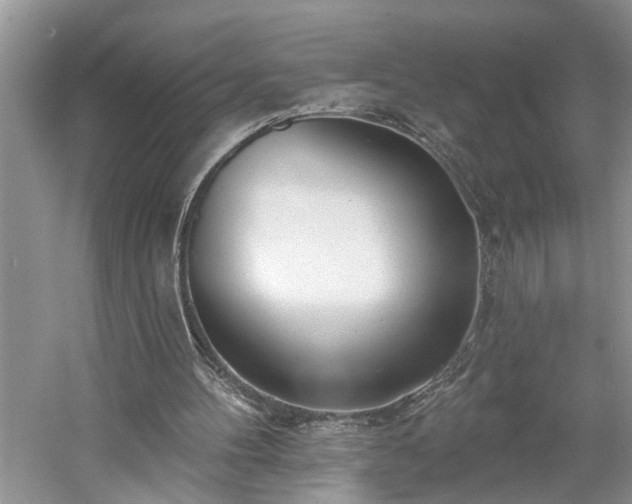 X0000061100100200511181114