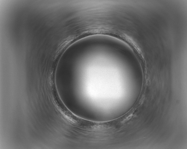 X0000061100105200511181114
