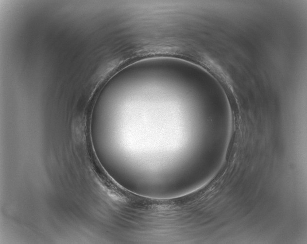 X0000061100107200511181114
