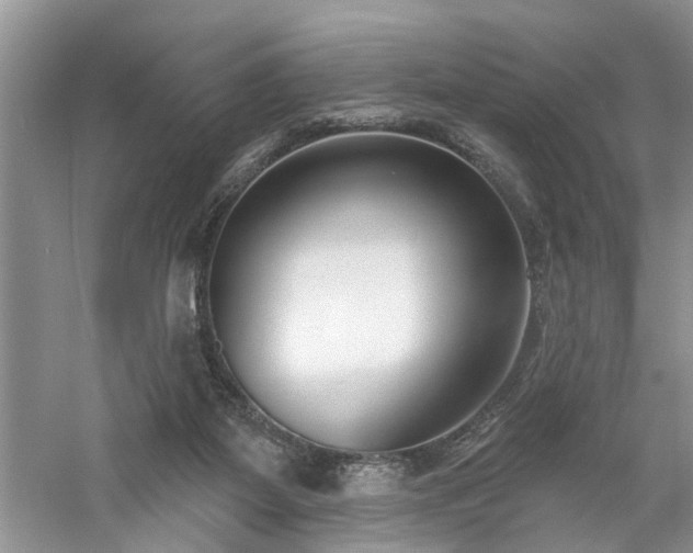 X0000061100115200511181114