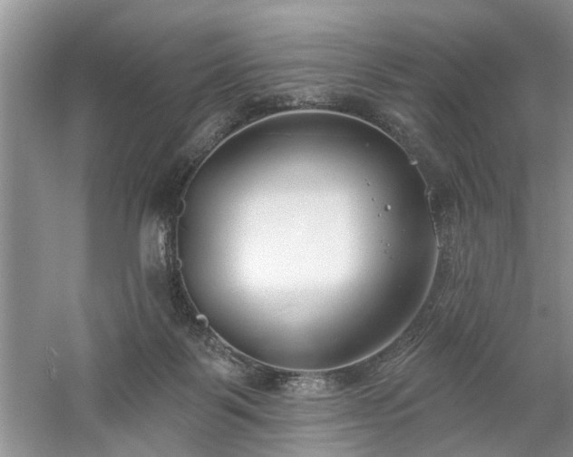 X0000061100123200511181113