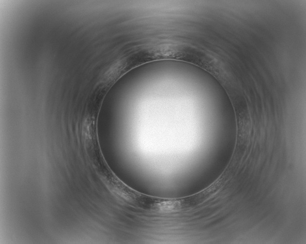 X0000061100126200511181113