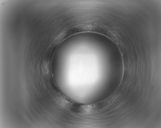 X0000061100131200511181113
