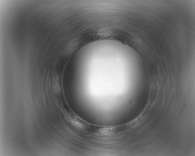 X0000061100136200511181113
