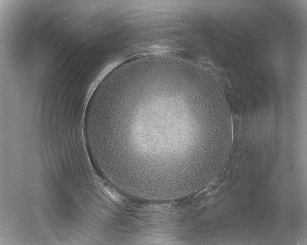 X0000061100147200511181112
