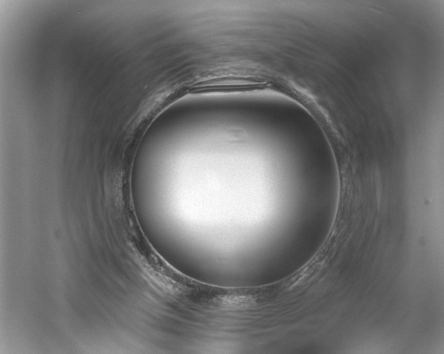 X0000061100154200511181112