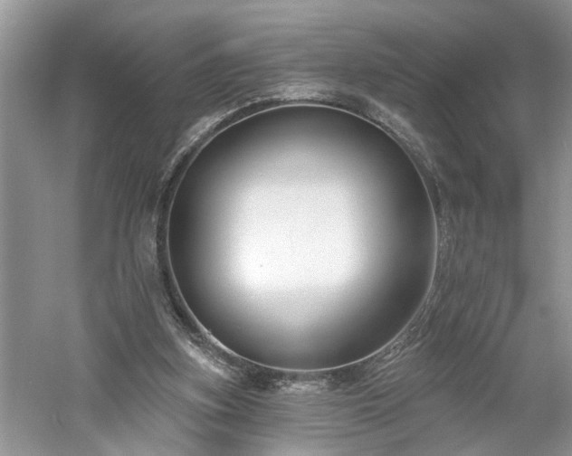 X0000061100155200511181112