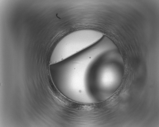 X0000061100166200511181113