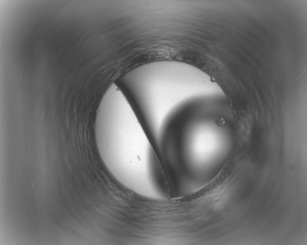 X0000061100177200511181113