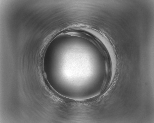 X0000061100193200511181112